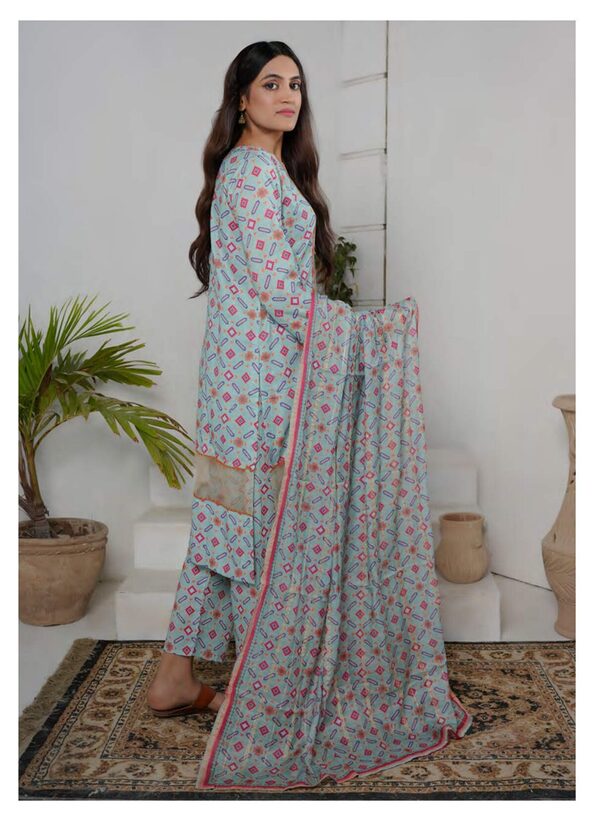 SA-06 Safiya Embroidered Lawn Unstitched - Image 2