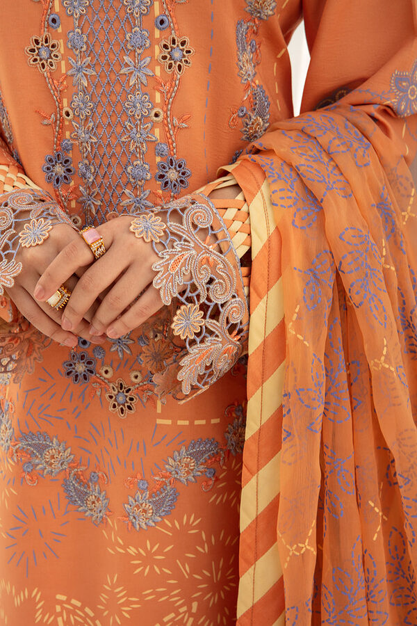 Rang Rasiya Florence Summer Edit Lawn Cinnamon unstitched - Image 4