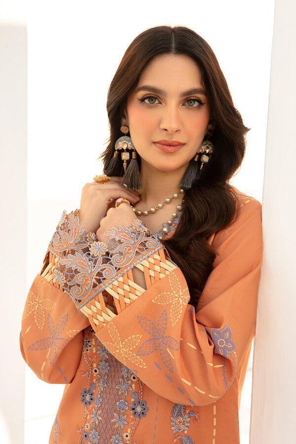 Rang Rasiya Florence Summer Edit Lawn Cinnamon unstitched - Image 5