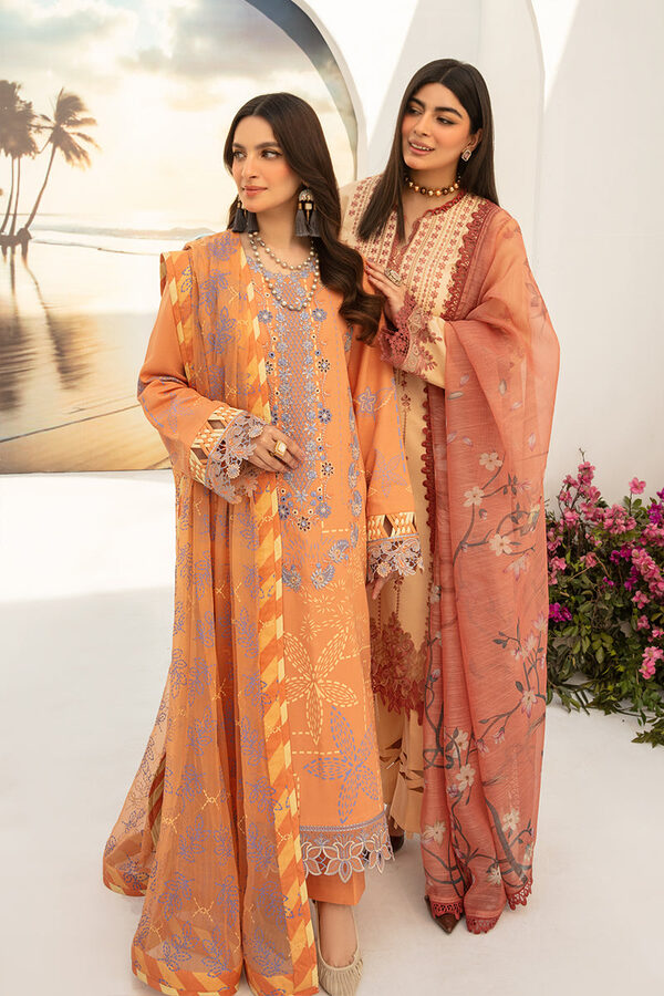rang rasiya carnation 2
