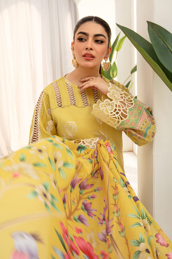 rang rasiya carnation