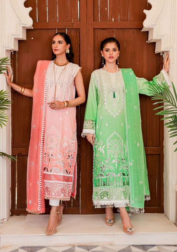 Parishay Noor-e-Nazar Luxury Embroidered Lawn D6 Unstitched - Image 7