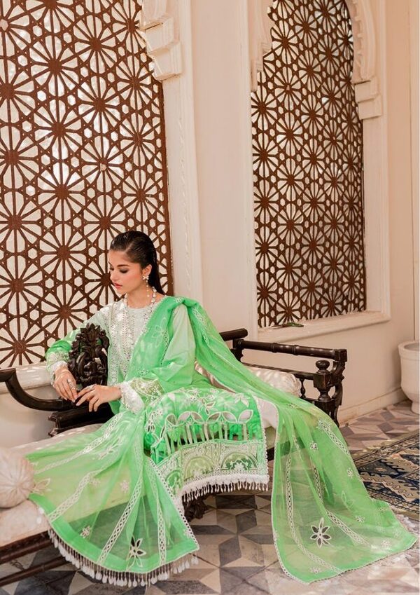Parishay Noor-e-Nazar Luxury Embroidered Lawn D5 Unstitched - Image 8