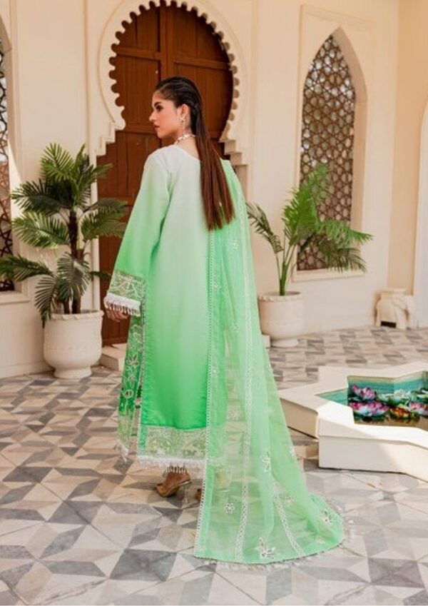 Parishay Noor-e-Nazar Luxury Embroidered Lawn D5 Unstitched - Image 7