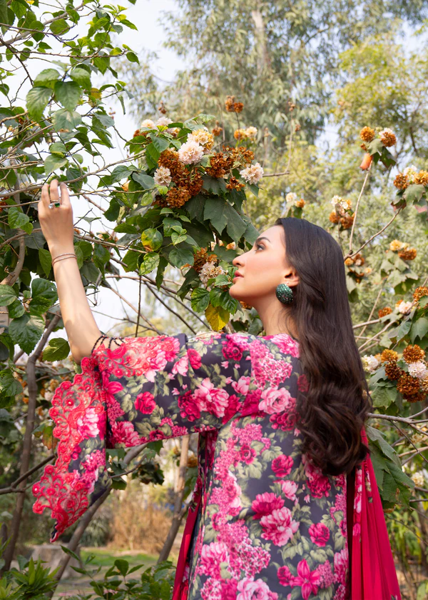 Myeesha Lamhay - Naghma 5